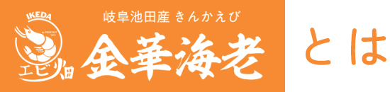 金華海老（きんかえび）とは