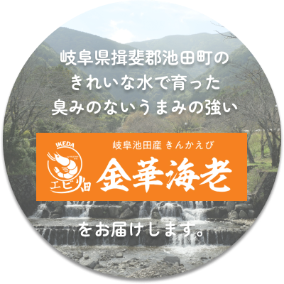 エビの極上体験、ここから始まる 新鮮な海の恵み、最高品質の金華海老（きんかえび）/バナメイエビをお届けします