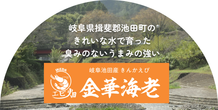 エビの極上体験、ここから始まる 新鮮な海の恵み、最高品質の金華海老（きんかえび）/バナメイエビをお届けします